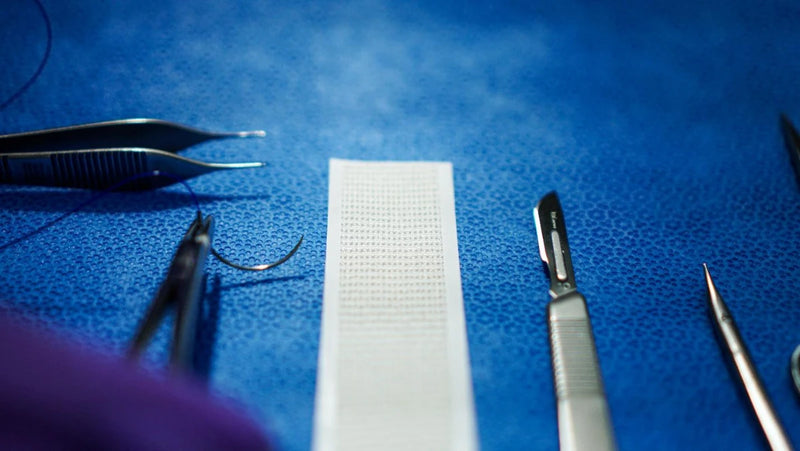 sylke on surgery table.webp__PID:38593992-ebe4-4a15-8daa-41384483f494